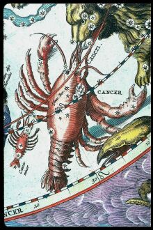 Astrological stellar cartography
