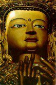 Maitreya Buddha
