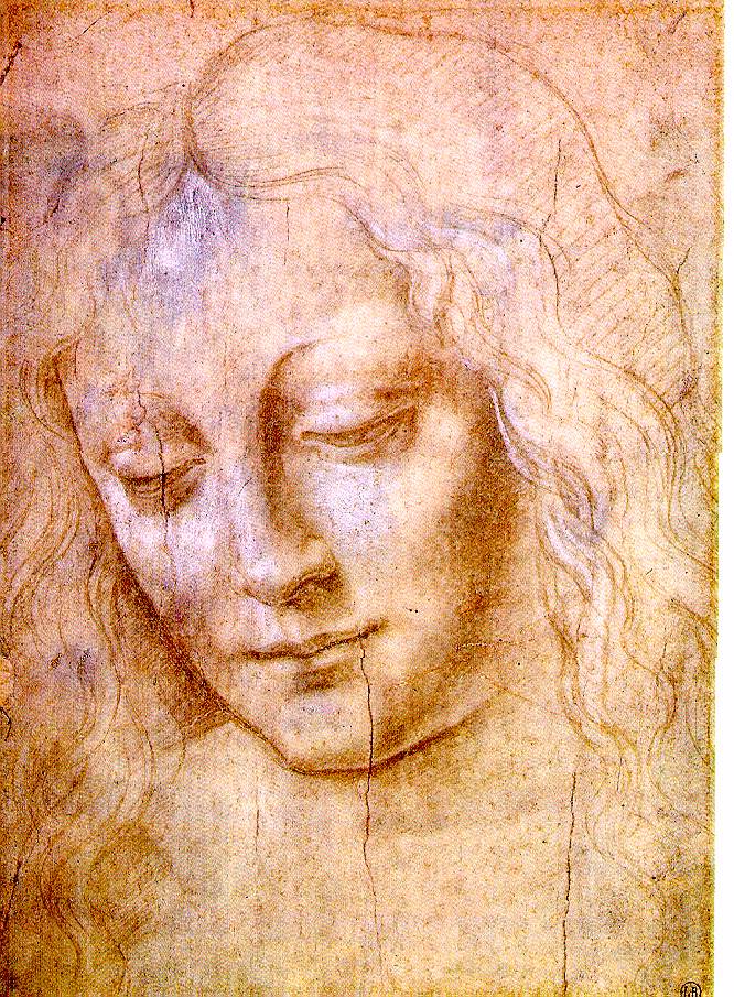 Leonardo da Vinci's drawing of the head of a young woman
